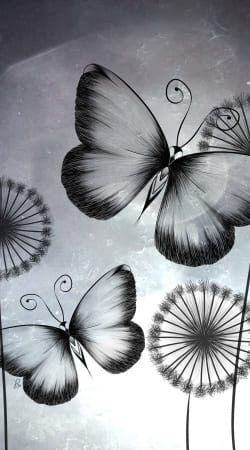 coque Butterflies Dandelion