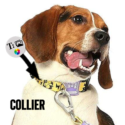 acheter Collier pour chien