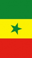 coque Drapeau Senegal