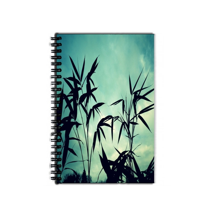 Cahier Bamboo in the Nature