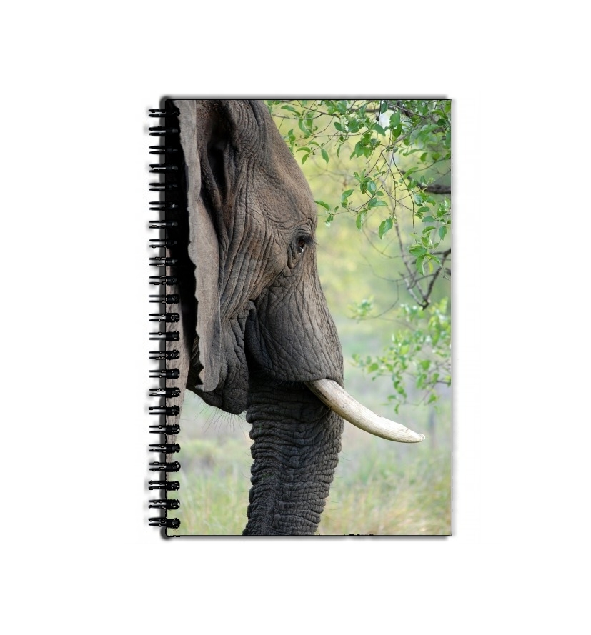 Cahier Elephant