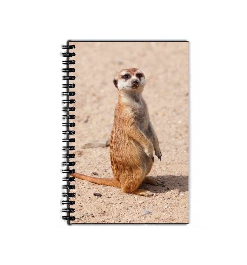Cahier Meerkat