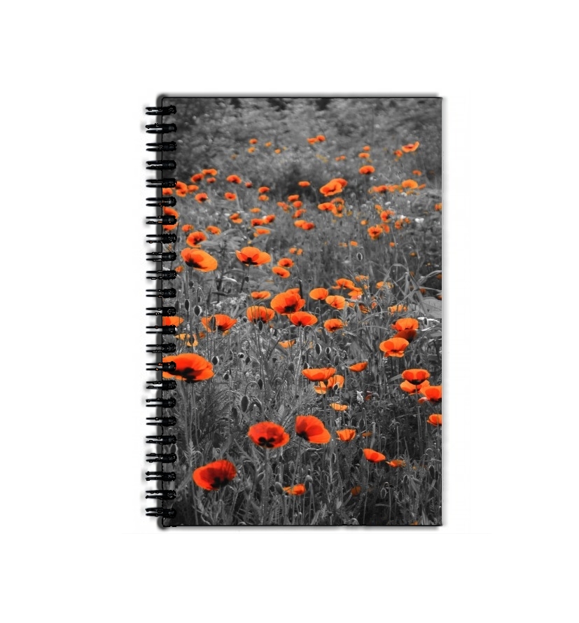 Cahier Red and Black Field