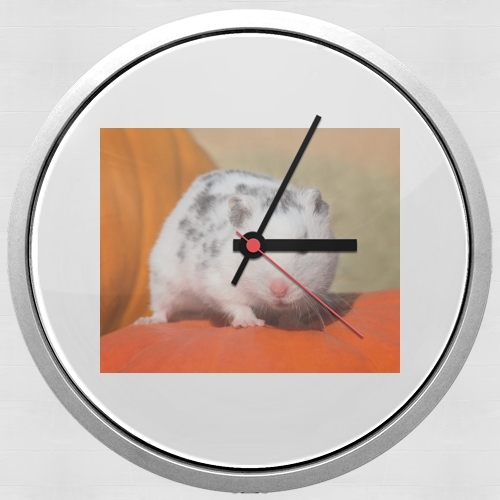 Horloge Hamster dalmatien blanc tacheté de noir
