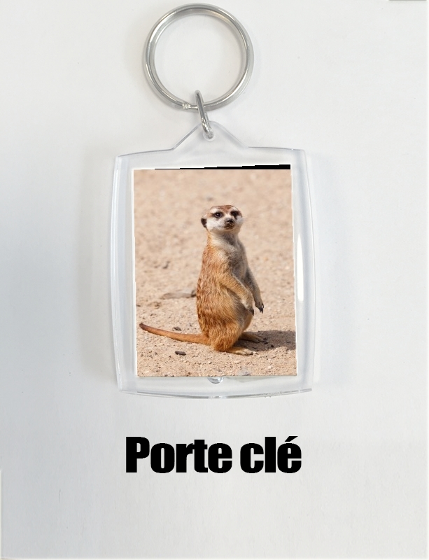 Porte Meerkat
