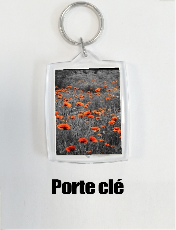 Porte Red and Black Field