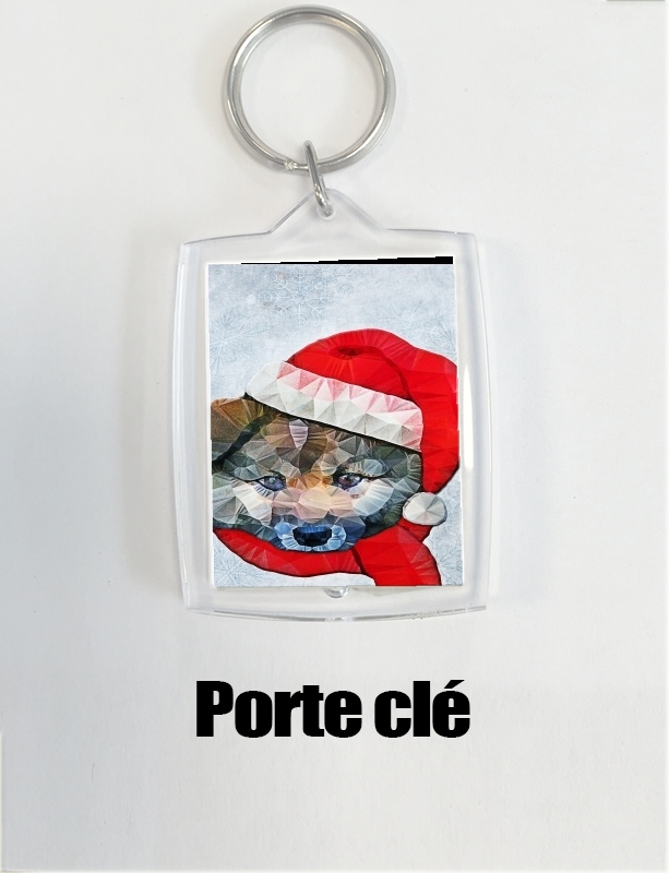 Porte Santa Dog