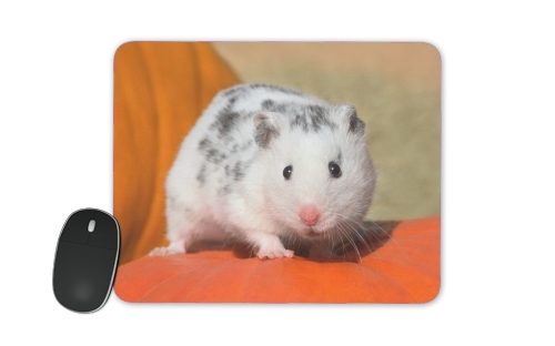 Tapis Hamster dalmatien blanc tacheté de noir