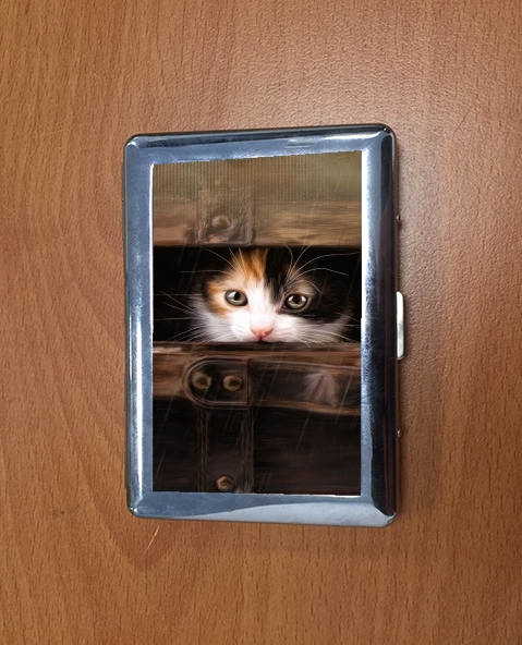 Porte Little cute kitten in an old wooden case