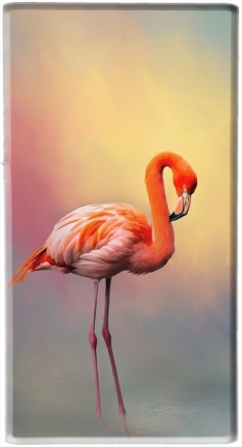 Batterie American flamingo