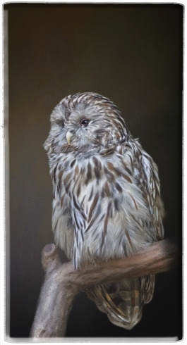 Batterie Lovely cute owl