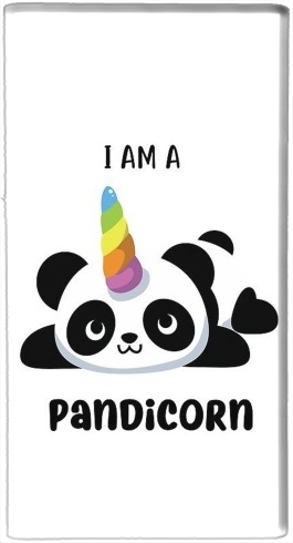 Batterie Panda x Licorne Means Pandicorn