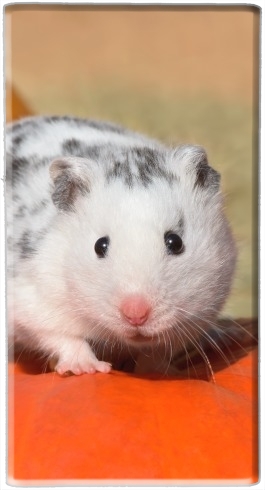 Batterie Hamster dalmatien blanc tacheté de noir
