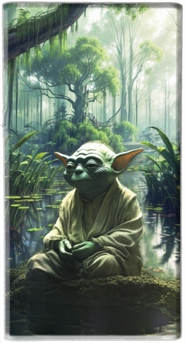 Batterie Yoda Master 