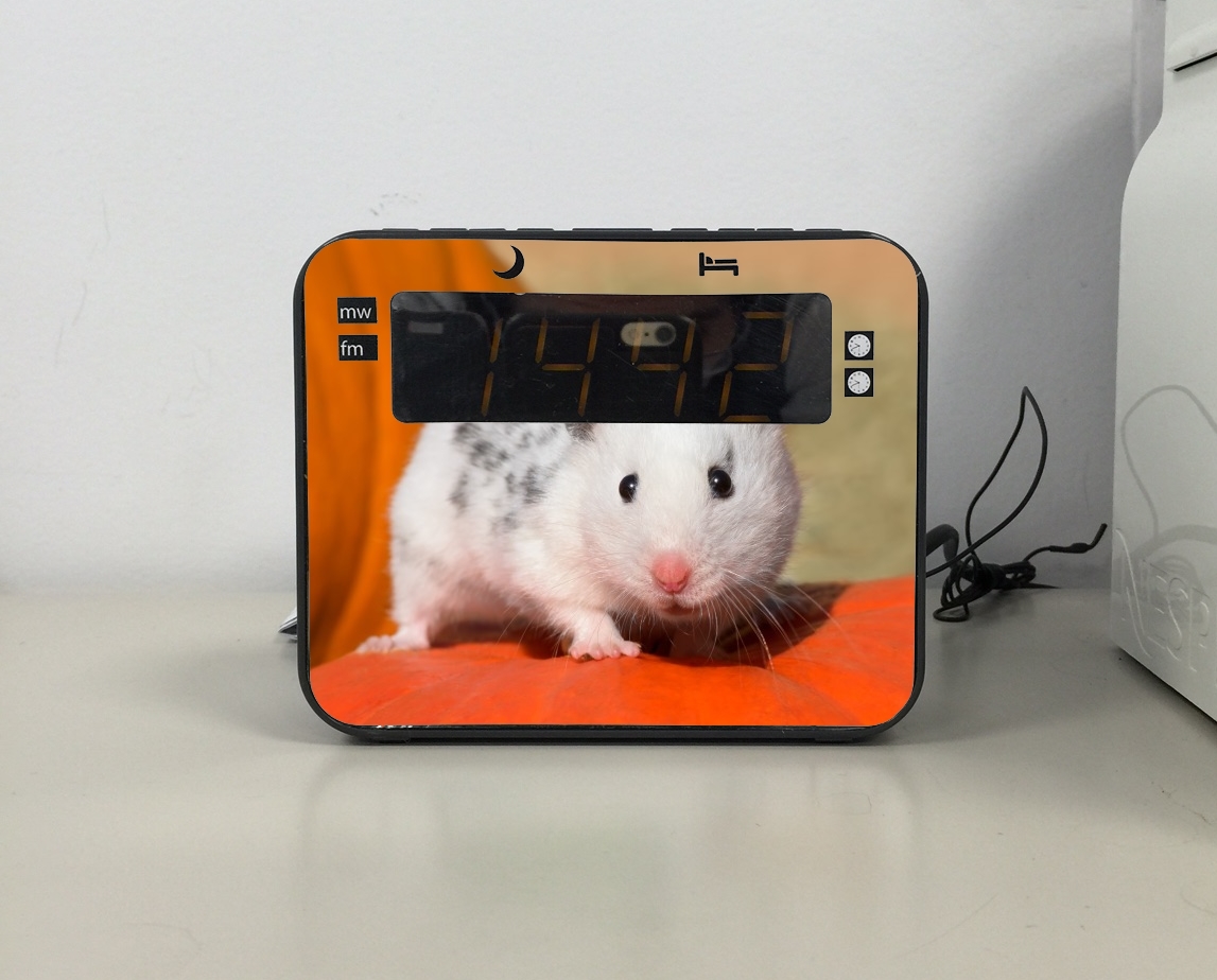 Radio-réveil Hamster dalmatien blanc tacheté de noir