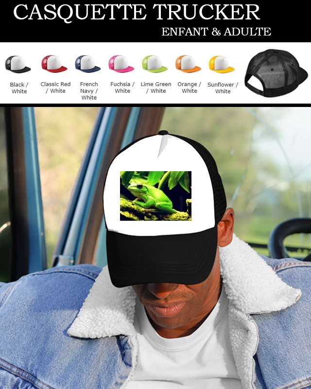 Casquette Green Frog