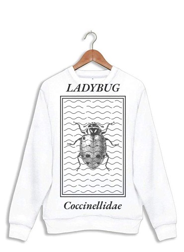 Sweat Ladybug Coccinellidae