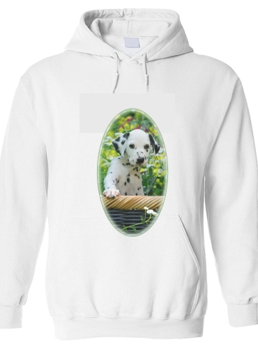Sweat-shirt chiot dalmatien dans un panier