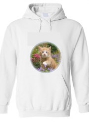 Sweat-shirt à capuche blanc - Unisex Bébé chaton mignon marbré rouge dans le jardin