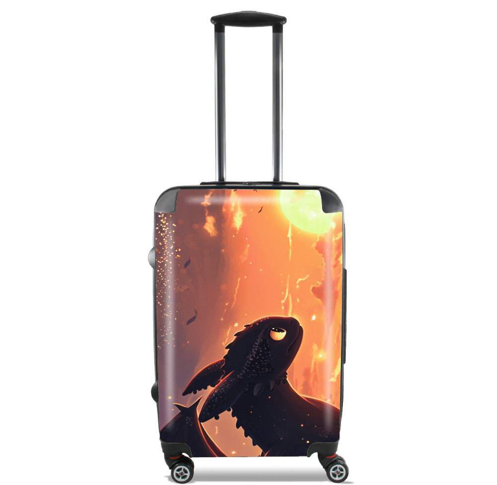 Valise Face Toothless