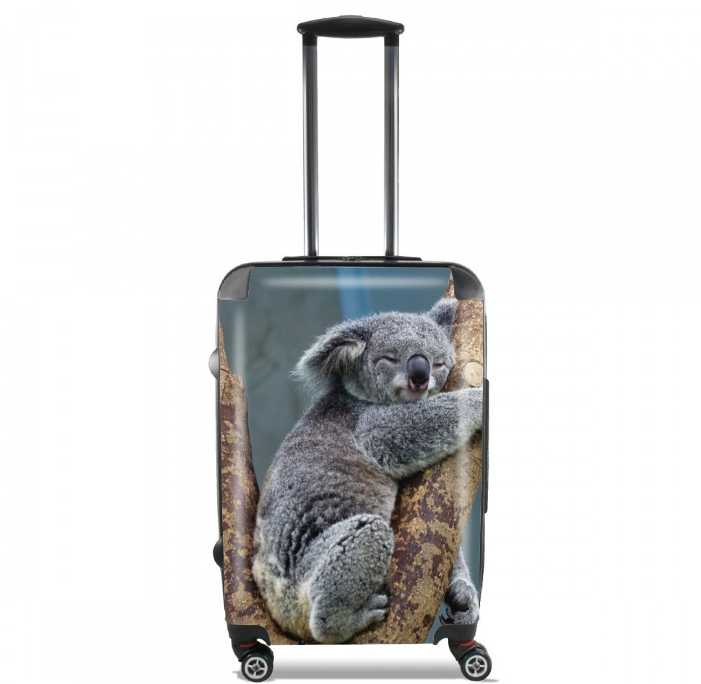 Valise Koala Bear Australia