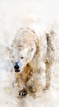 coque Abstract watercolor polar bear