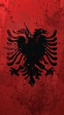 coque Albanie Painting Flag