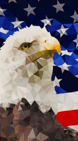 coque American Eagle and Flag