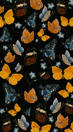 coque Butterflies II