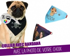 Collier bandana pour chien et chat personnalisable personnalisable