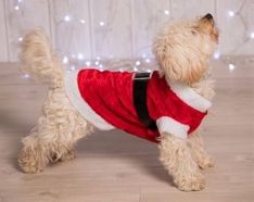 Costume de Père Noël pour chien personnalisable