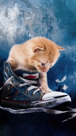 coque Cute kitten plays in sneakers