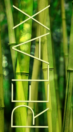 coque green bamboo