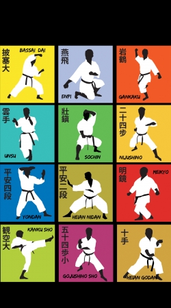 coque Karate techniques