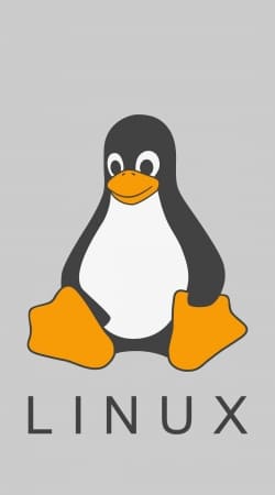 coque Linux Hébergement