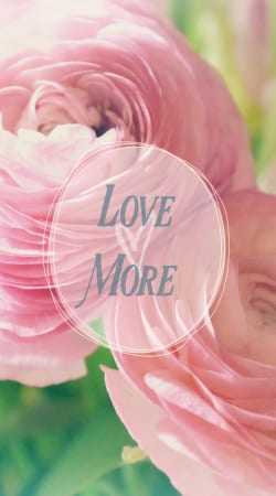 coque Love More