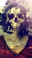 coque Madame Skull