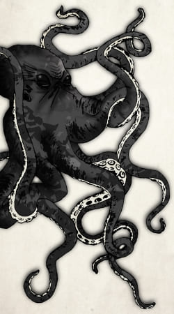coque Octopus