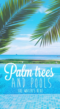 coque Palm Trees