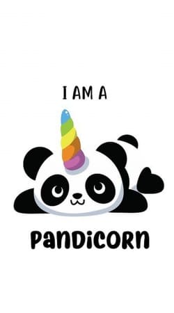 coque Panda x Licorne Means Pandicorn