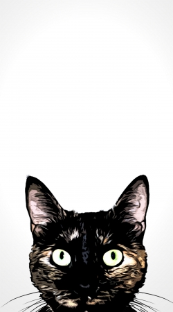 coque Peeking Cat