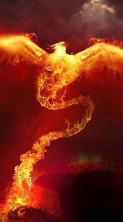 coque Phoenix in Fire