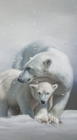 coque Polar bear family
