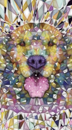 coque rainbow dog