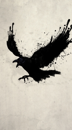 coque Raven
