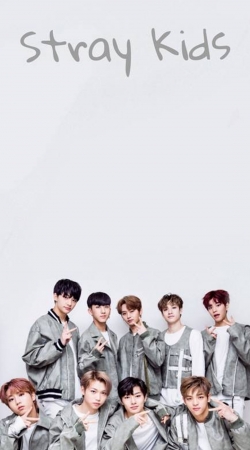 coque Stray Kids Group