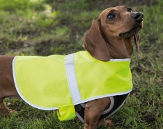 Veste de chien réfléchissante - Gilet jaune personnalisable