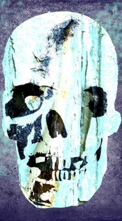 coque Skull Vintage Bleu