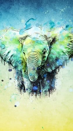 coque watercolor elephant
