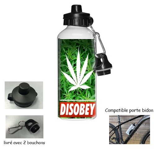 Gourde Weed Cannabis Disobey